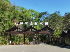 -普洱太阳河森林公园