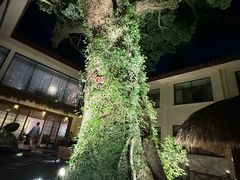-普陀山雷迪森庄园