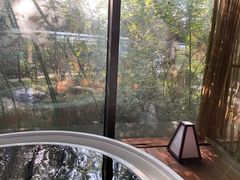 -春晖园度假酒店温泉