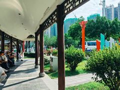 -飞来湖湿地公园