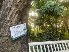 -广州市白云山风景名胜区