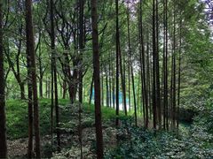 -新洲生态园