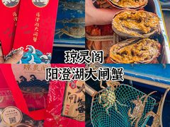 -阳澄湖大闸蟹·琼灵阁牌品牌连锁(吴中总店)