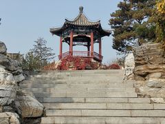 -大兴滨河森林公园