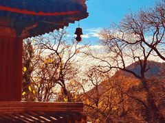 -韩景台烤肉(八大处店)