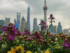 -北外滩滨江绿地