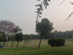 -深圳湾公园(南山区)