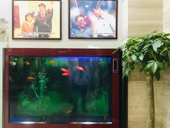 -手佳按摩·足疗·艾灸(龙江店)