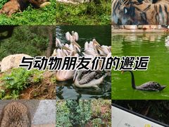 -云南野生动物园