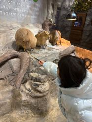 -Zoolung Zoolung动物主题公园(海信广场店)