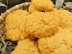 -滇铺子·云南特色菜·鲜花野菜季(东风东路c86店)