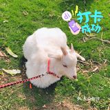 体验农家生活！