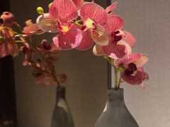 -浅深(世茂滨江精品店)