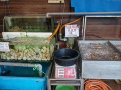 -真浪花园海鲜餐馆
