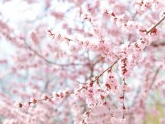 -安定门(地铁站)