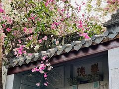 -深圳国际园林花卉博览园