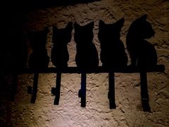 iphone_upload_pic-Sirena海妖日咖夜酒