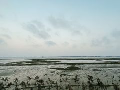 -霞山观海长廊
