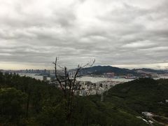 -仙岳公园
