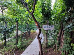 -望湖烤鱼