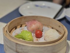 -点都德·毕德寮