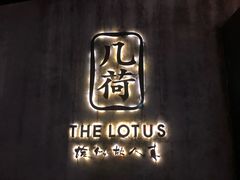 -几荷·恰似故人来(秀水广场店)
