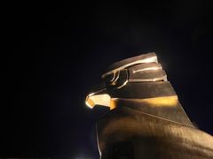 -大金鹰园