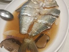 -蝶园·装修中(BFC外滩金融中心店)