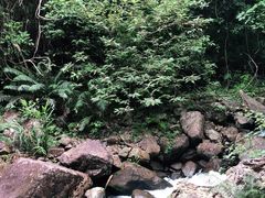 -千泷沟大瀑布旅游区