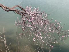 -颐和园-景明楼