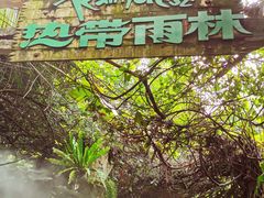 -青青世界
