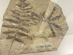 -辽宁古生物博物馆