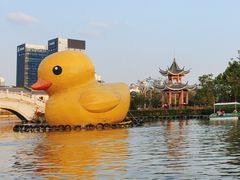 -紫马岭公园