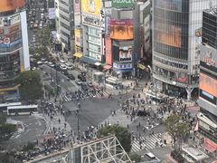 -涩谷全向十字路口