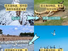 -幸福门