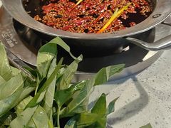 -钢管厂五区小郡肝火锅串串香(总店)