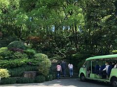 -杭州半山国家森林公园