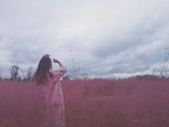 -白鹭湾湿地公园