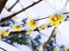 -钟山体育运动公园
