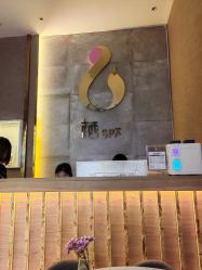 -栖SPA·ONDA ·海菲秀·皑皑科技美肤中心