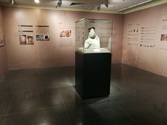 -北京大学赛克勒考古与艺术博物馆
