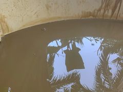 -100蛋泥浆浴