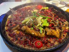 -老板恋上鱼(高新万达店)