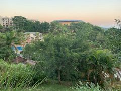 -罗浮山嘉宝田森林温泉度假酒店