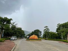 -风云岭森林公园