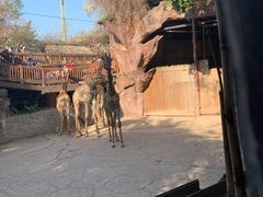-长鹿旅游休博园