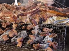 -柿子树炭烤羊腿(金台路店)
