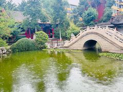 -碑林公园