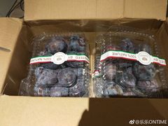 -意大利农场度假村