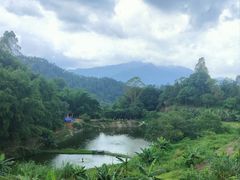 -天强农家菜馆